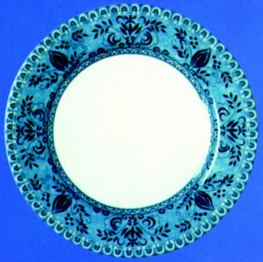 Beaucourt Salad Plate by Laure Japy-1