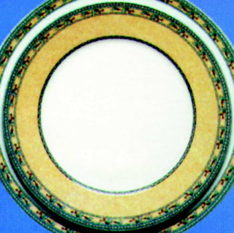 Griottes Dinner Plate by Laure Japy-1