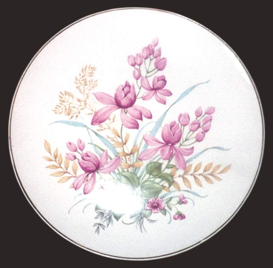 Royal Bouquet Dinner Plate by Limoges-American-1