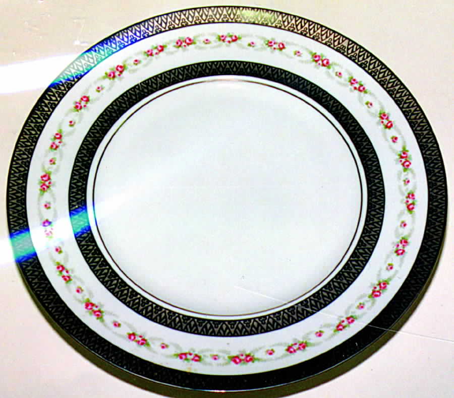 LNT68 Dinner Plate by Lanternier-1