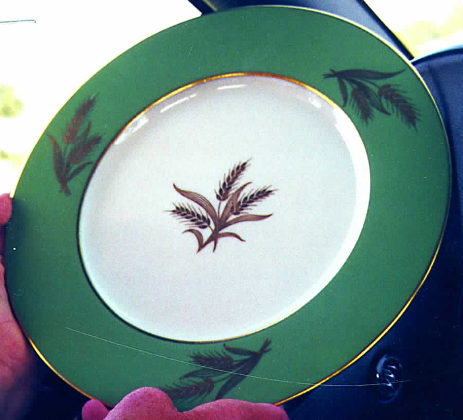 Harvest Green Dinner Plate by Lenox-1