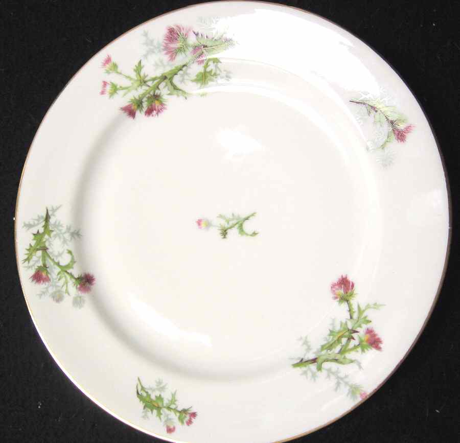 LIM46 Dinner Plate by Limoges-French-1