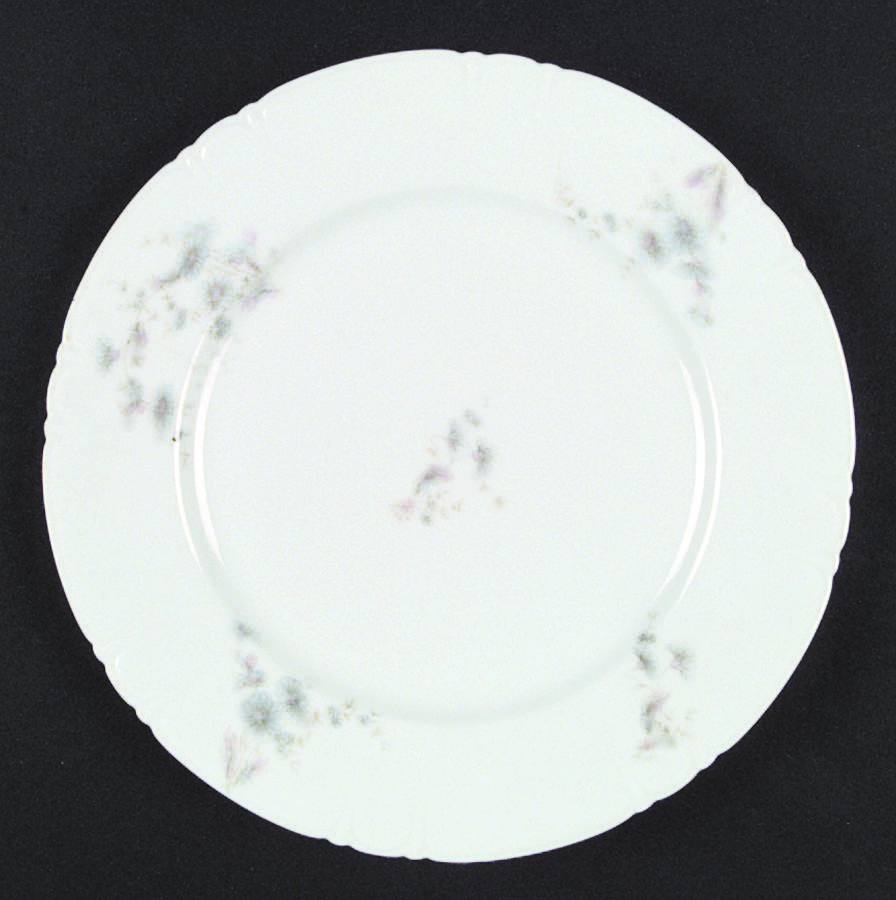 LSS39 Dinner Plate by Lazarus Straus & Sons-1