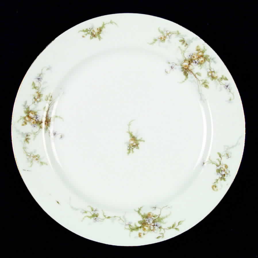 LIM48 Dinner Plate by Limoges-French-1