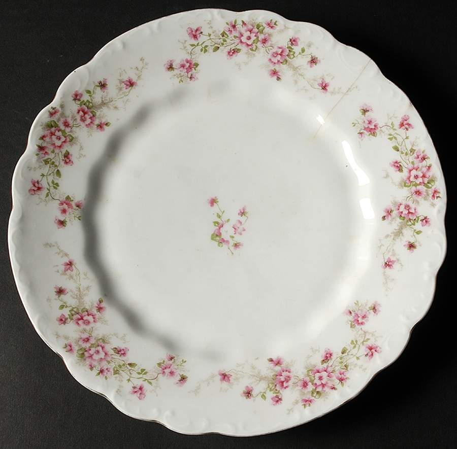 457 Dinner Plate by Lazarus Straus & Sons-1