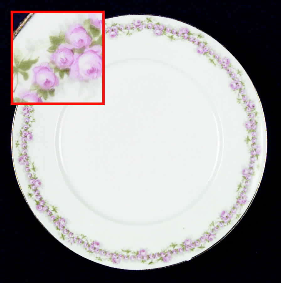 LSS40 Dinner Plate by Lazarus Straus & Sons-1