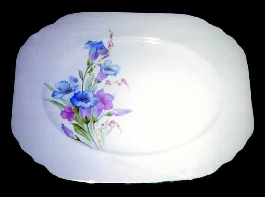 Gloria(No Basketweave) Dinner Plate by Limoges-American-1
