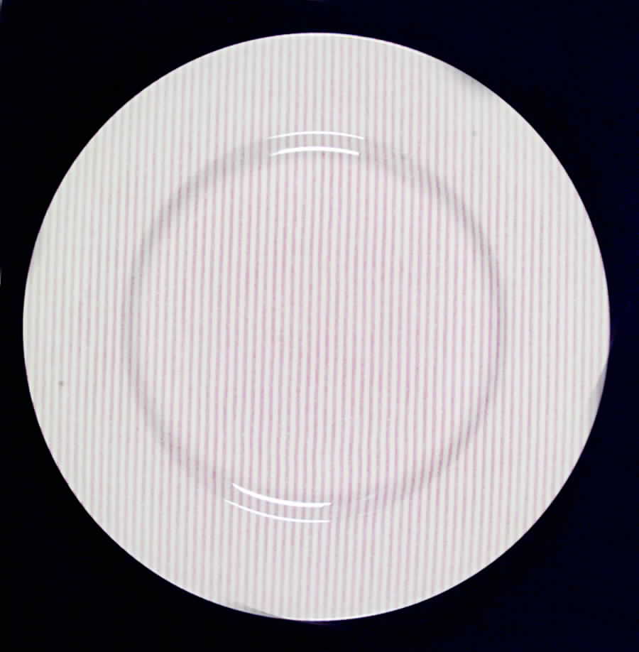 Button Down Pink Dinner Plate by Ralph Lauren China-1