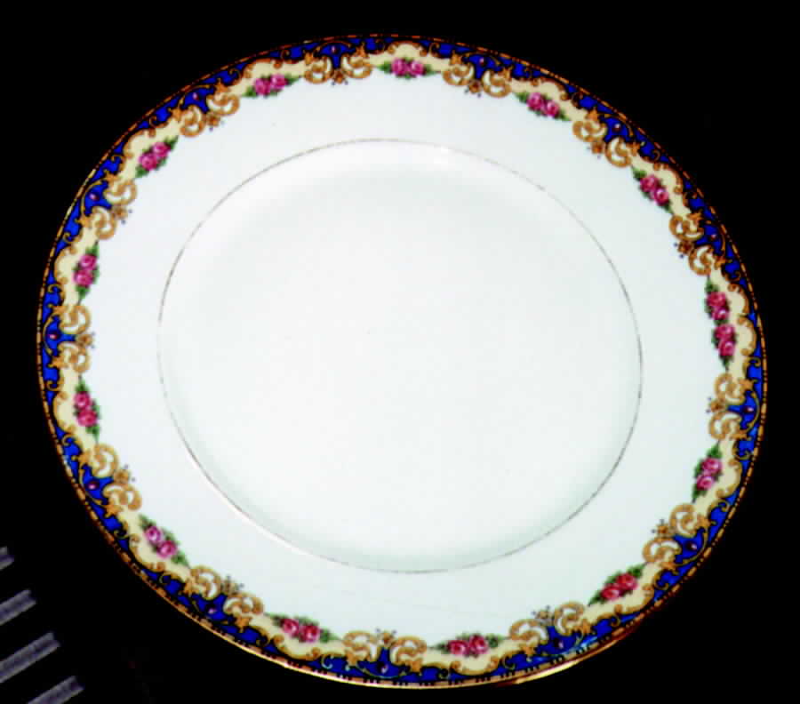 LIM50 Dinner Plate by Limoges-French-1