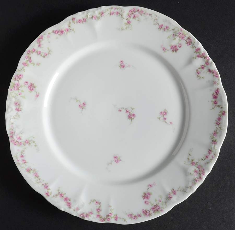 LSS42 Dinner Plate by Lazarus Straus & Sons-1