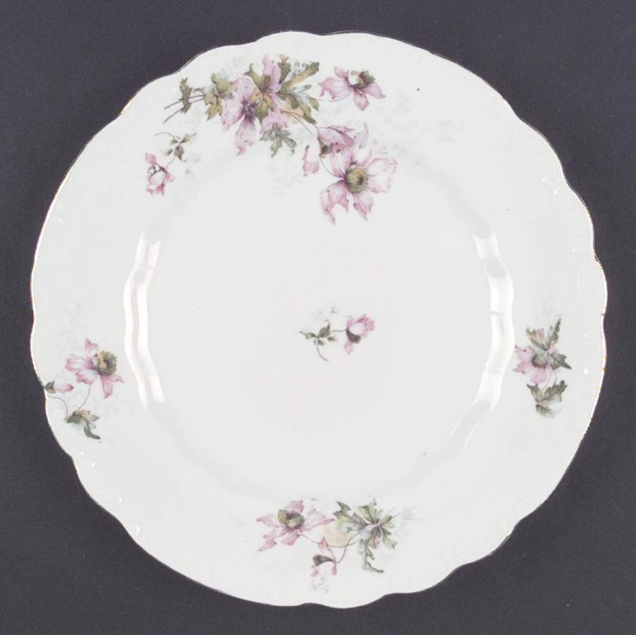 LSS47 Dinner Plate by Lazarus Straus & Sons-1