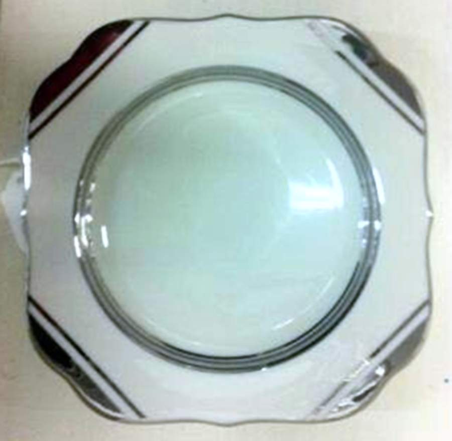 H337 Square Luncheon Plate by Lenox-1