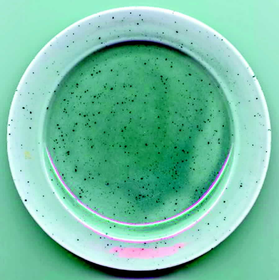 LAU2 Dinner Plate by Lauffer-1