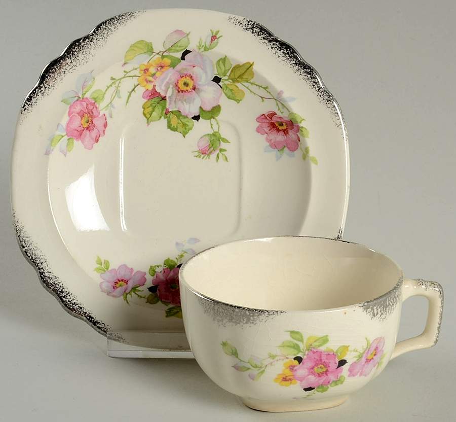 Wild Rose Flat Cup & Saucer Set by Limoges-American-1