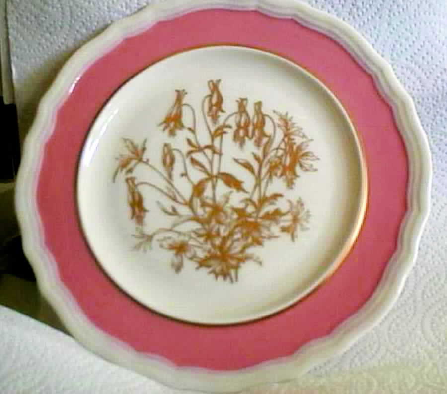 T372x156 Dinner Plate by Lenox-1