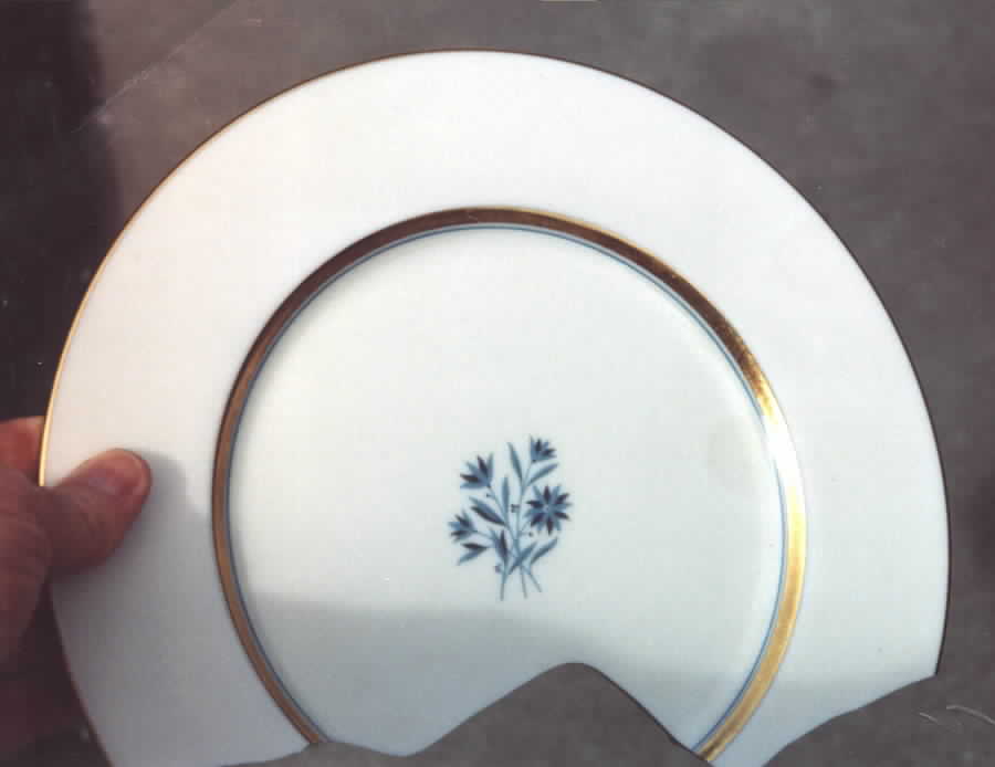 R364 Dinner Plate by Lenox-1
