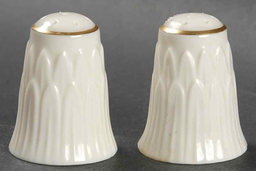 Carlyle Collection (Gold Trim) Salt & Pepper Set by Lenox-1