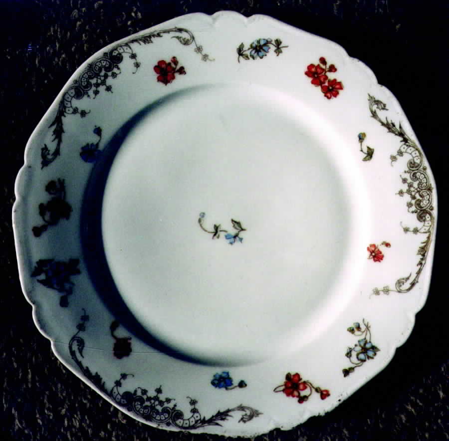 LSS54 Dinner Plate by Lazarus Straus & Sons-1