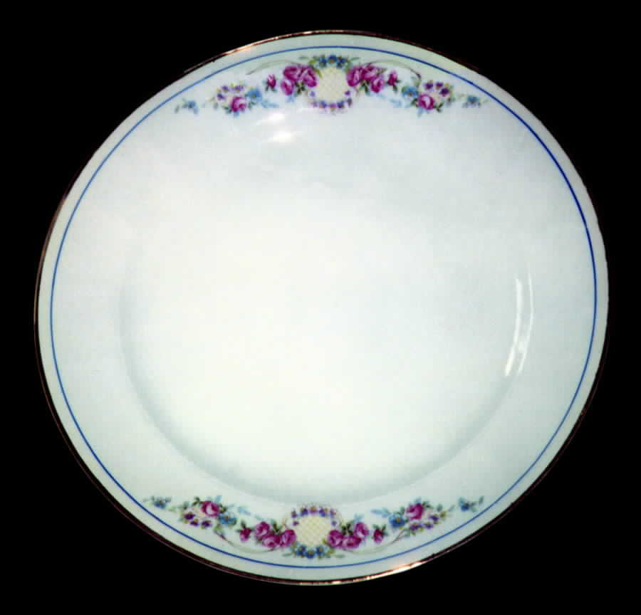 LIA28 Dinner Plate by Limoges-American-1