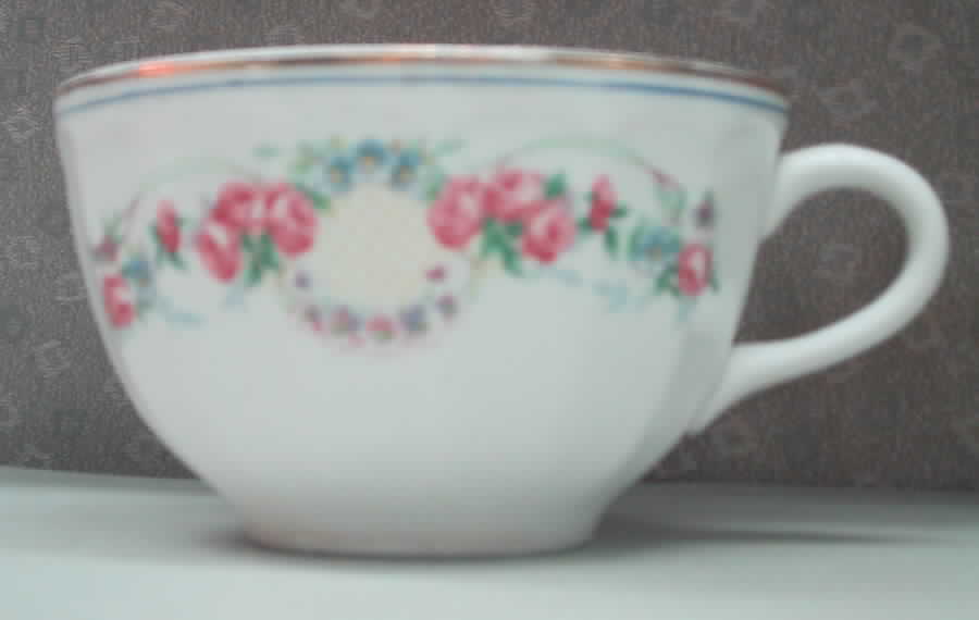 LIA28 Flat Cup by Limoges-American-1