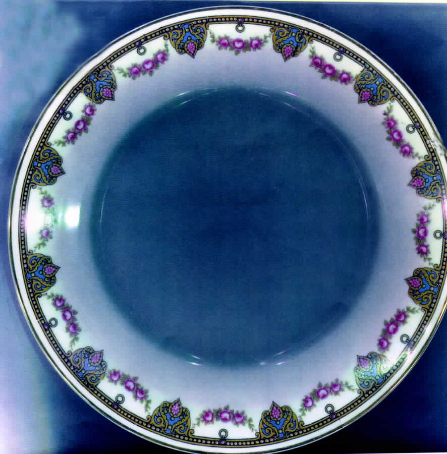 UNC264 Salad Plate by Union Ceramique-1