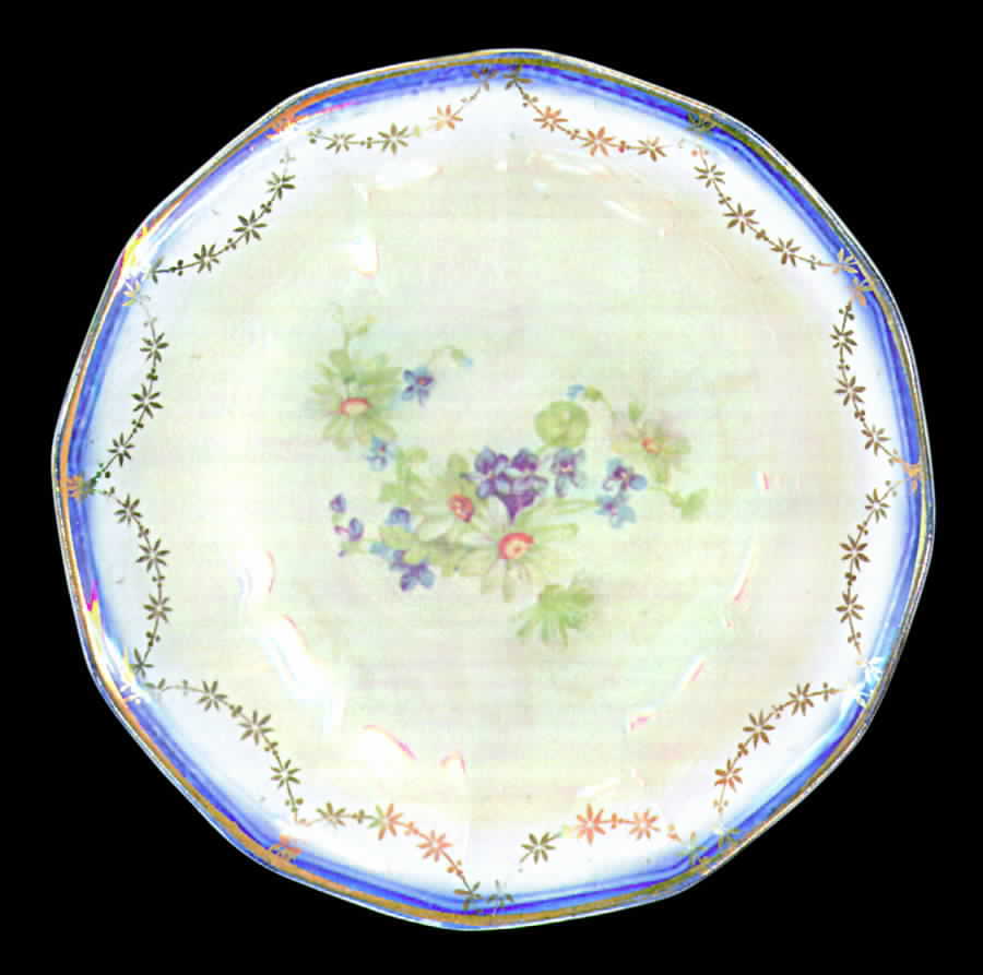 LIA29 Salad Plate by Limoges-American-1