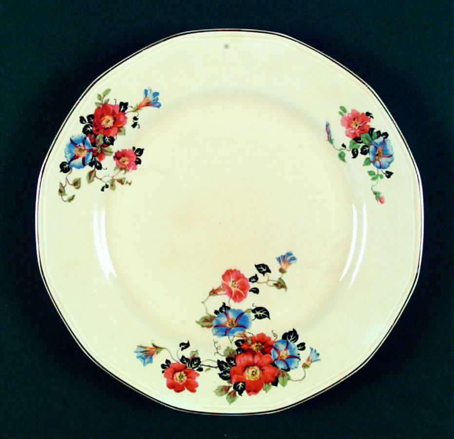 LIA33 Dinner Plate by Limoges-American-1