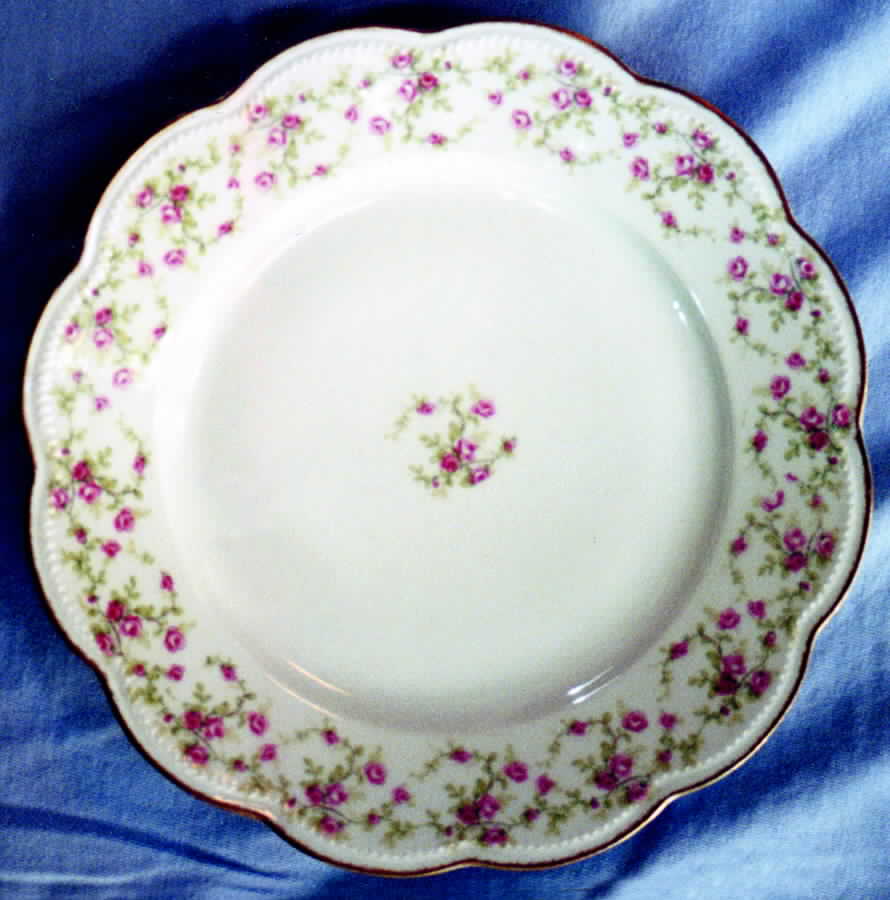 LEG21 Dinner Plate by F Legrand & Cie-1