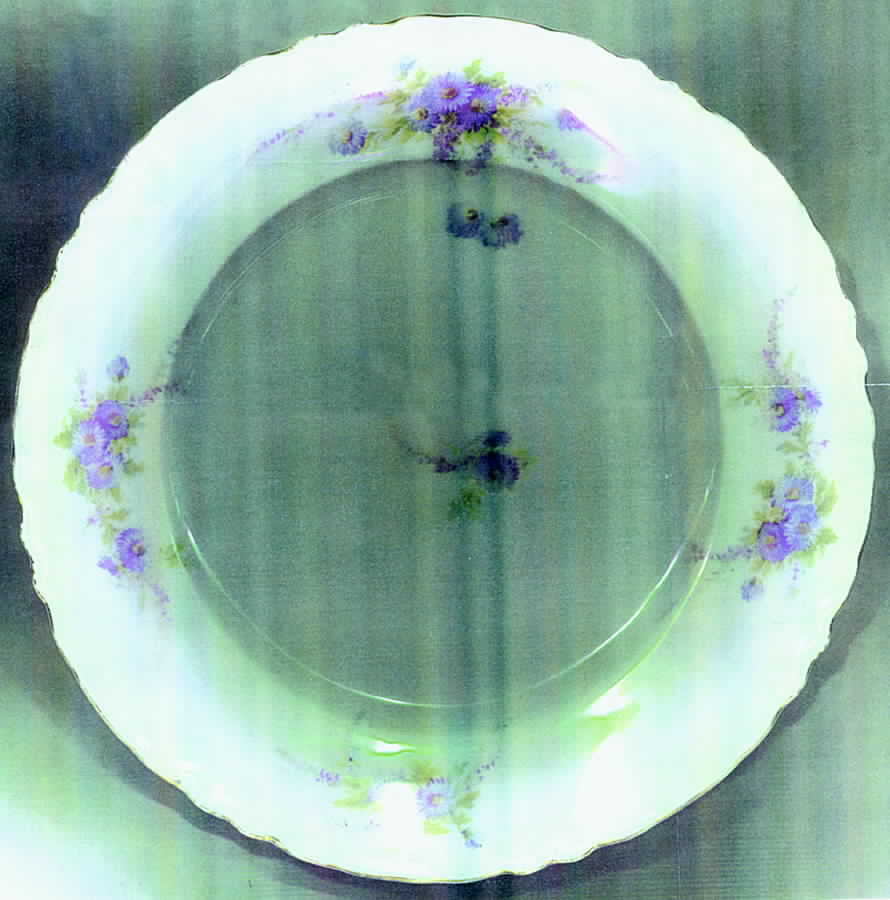 LSS60 Dinner Plate by Lazarus Straus & Sons-1