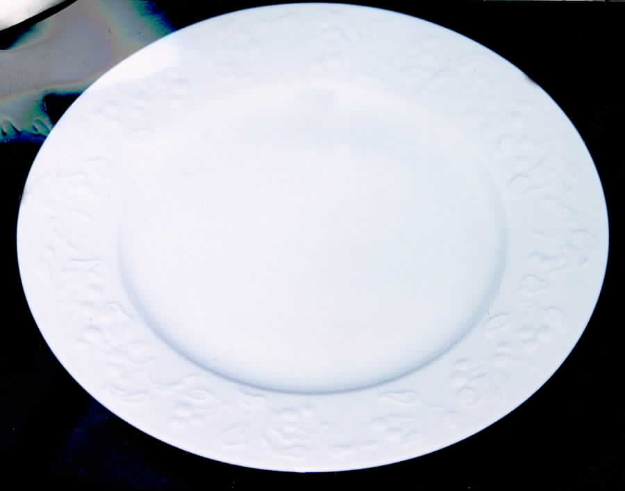 LIM82 Dinner Plate by Limoges-French-1