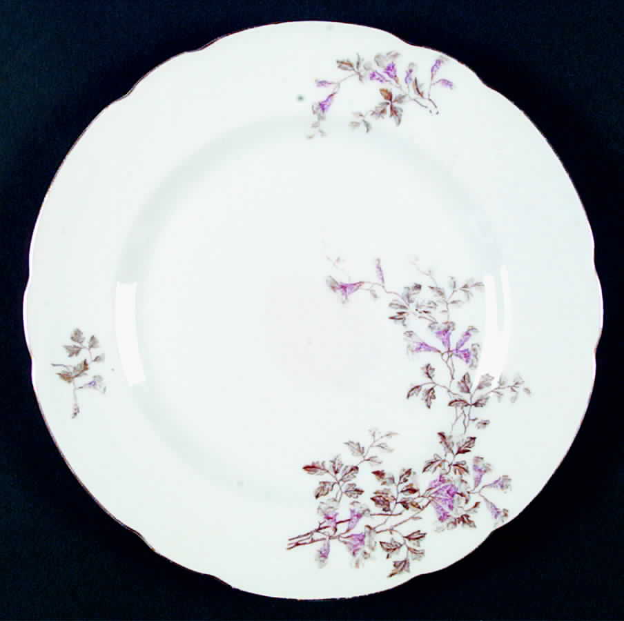 LSS61 Dinner Plate by Lazarus Straus & Sons-1