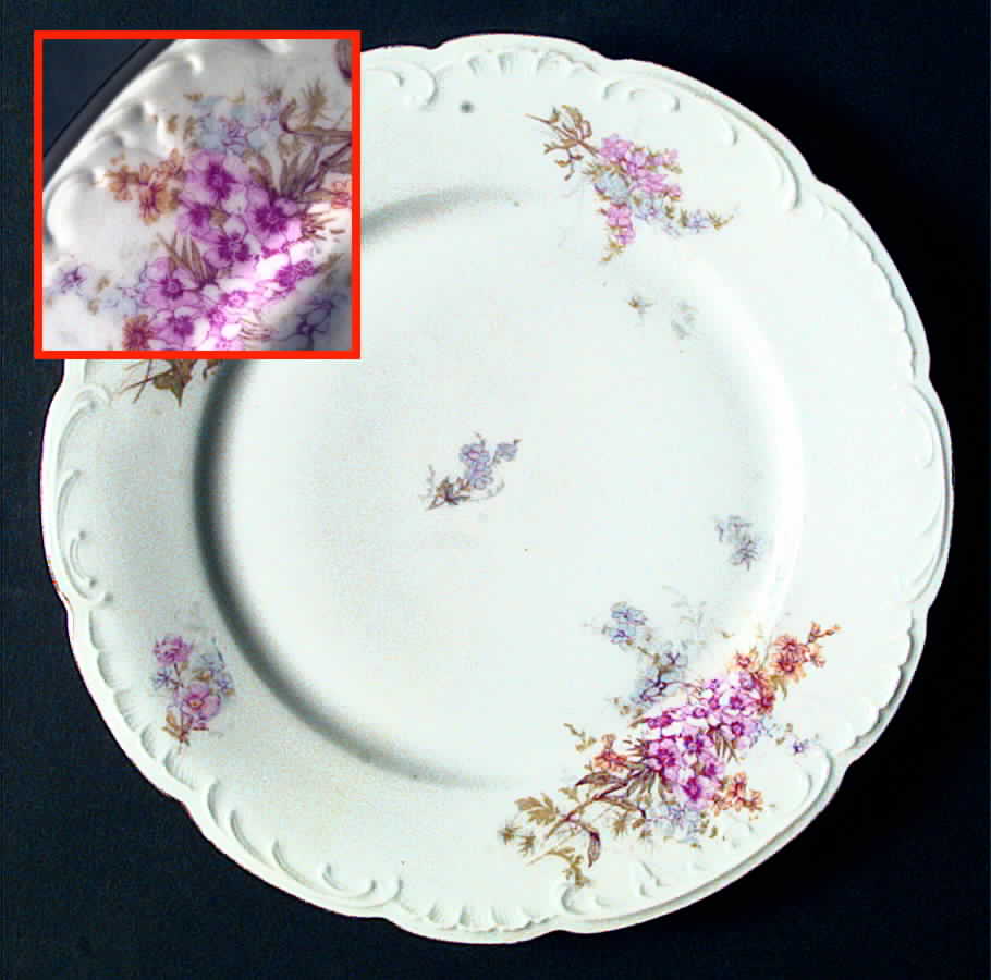 LSS62 Dinner Plate by Lazarus Straus & Sons-1