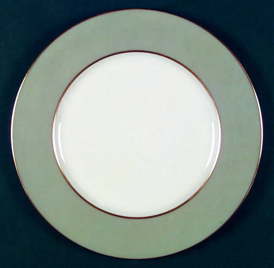 X305-242 Dinner Plate by Lenox-1