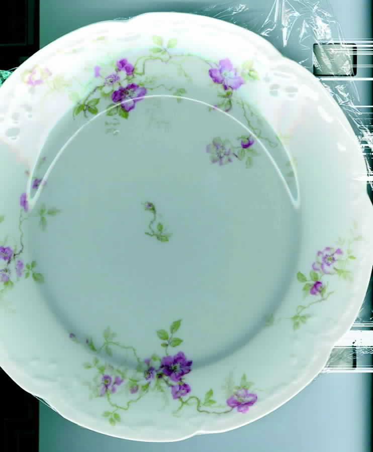 LAT41 Dinner Plate by Latrille-1