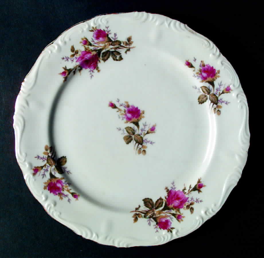 BND2 Dinner Plate by Bond (Japan)-1