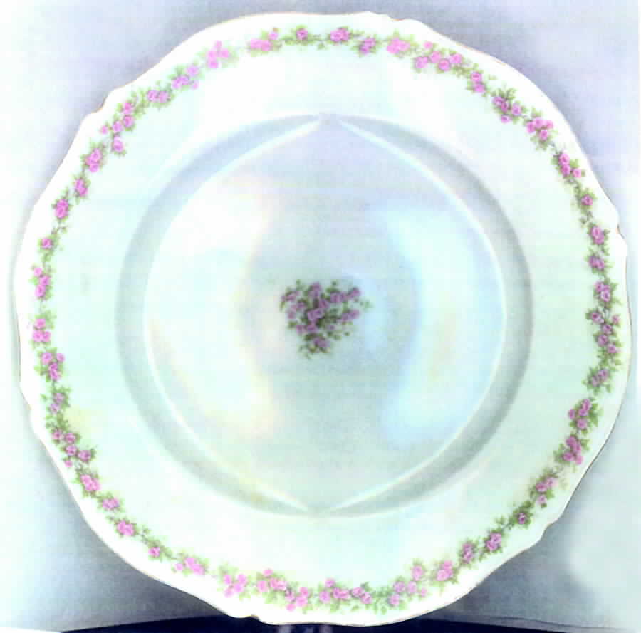 1040 Dinner Plate by Lazarus Straus & Sons-1