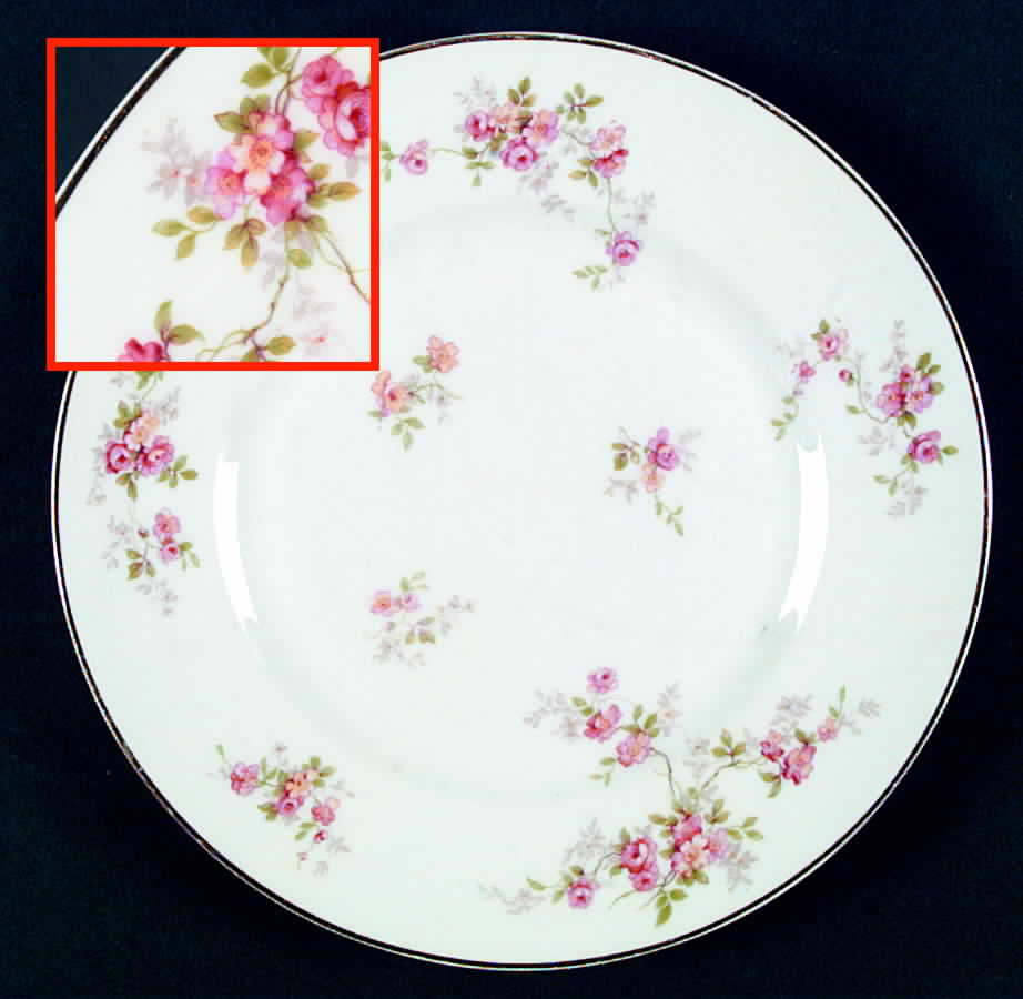 LIM97 Dinner Plate by Limoges-French-1