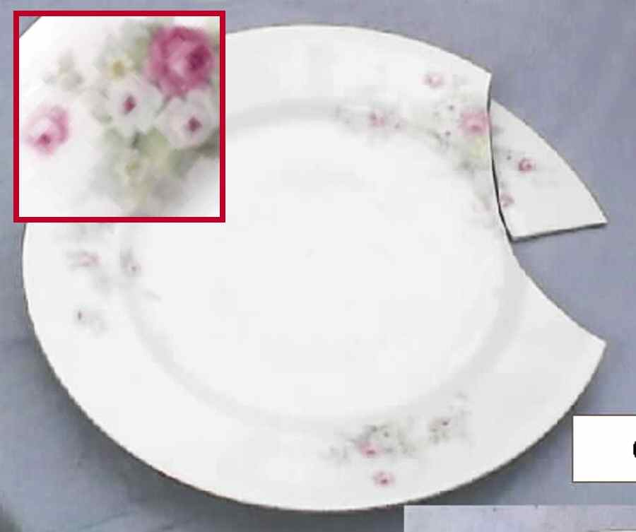 R4K9 Dinner Plate by Richard  Kampf-1