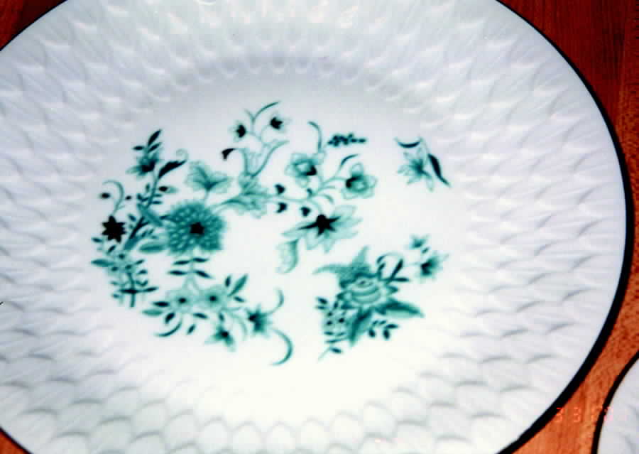 LIM98 Dinner Plate by Limoges-French-1