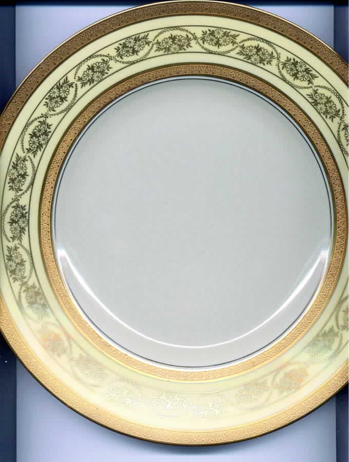 LIM99 Dinner Plate by Limoges-French-1