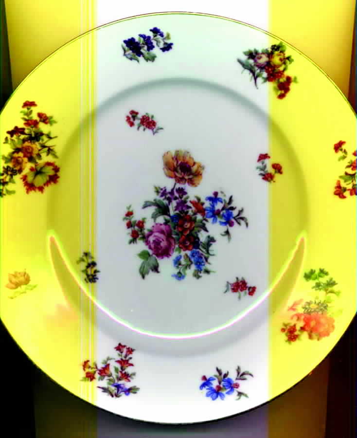 LIM100 Salad Plate by Limoges-French-1