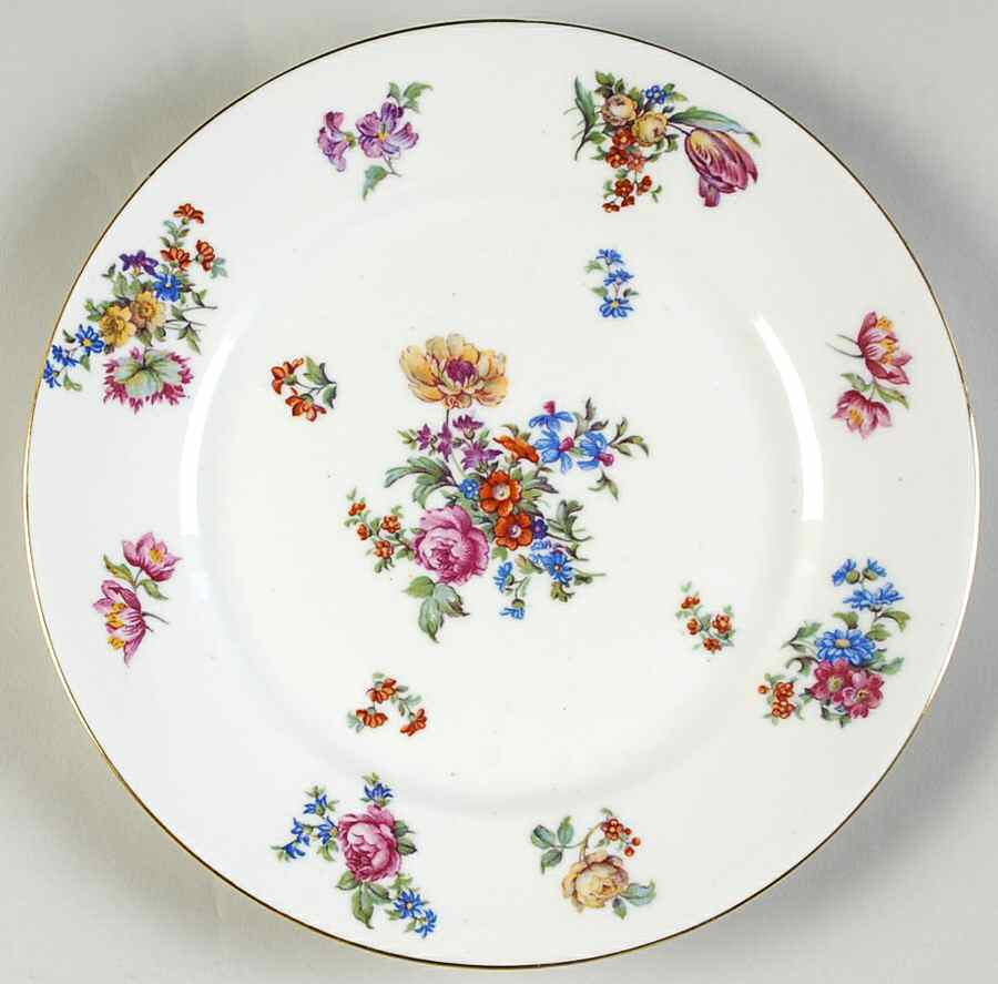 LIM100 Dinner Plate by Limoges-French-1