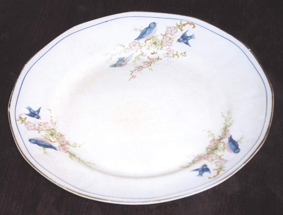 LIA42 Dinner Plate by Limoges-American-1
