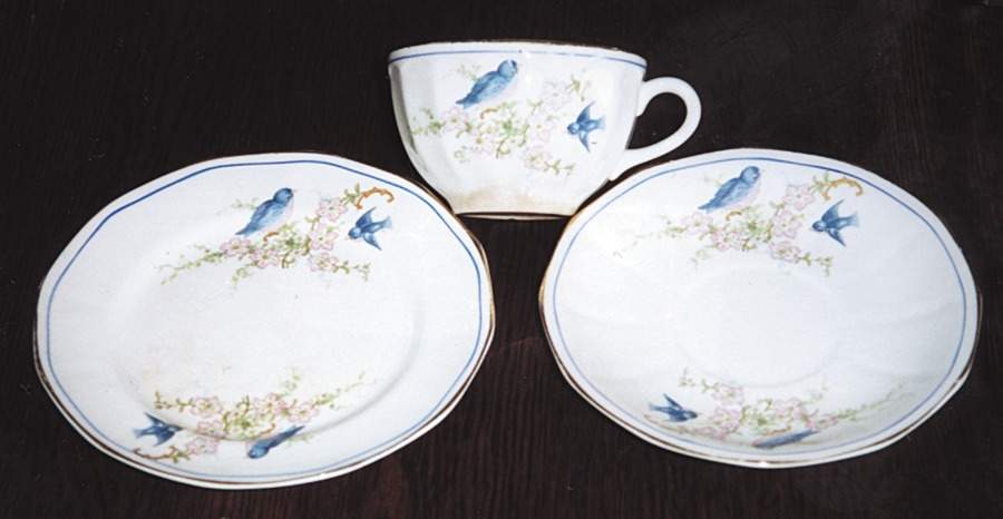 LIA42 Flat Cup & Saucer Set by Limoges-American-1