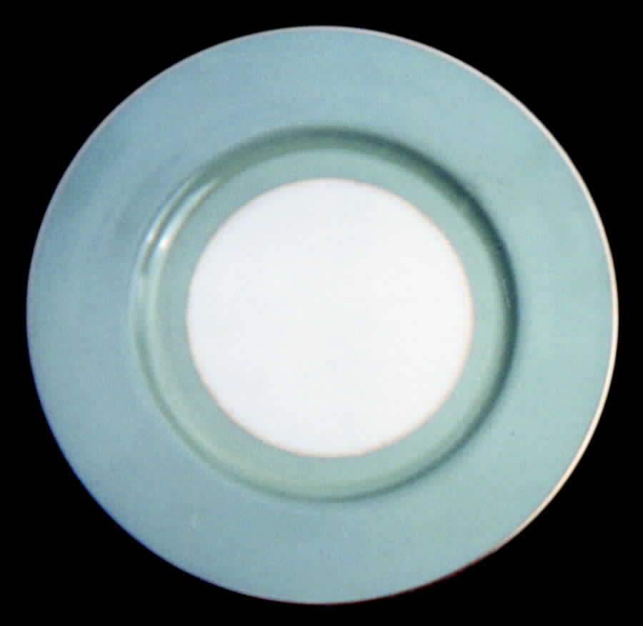 D333X30-3 Dinner Plate by Lenox-1