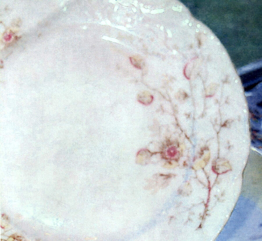 2557 Pink Dinner Plate by Lazarus Straus & Sons-1