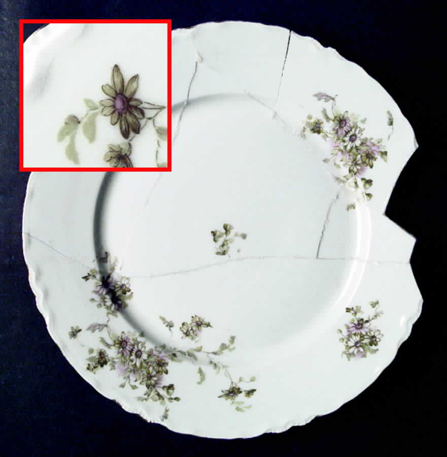 LSS76 Dinner Plate by Lazarus Straus & Sons-1