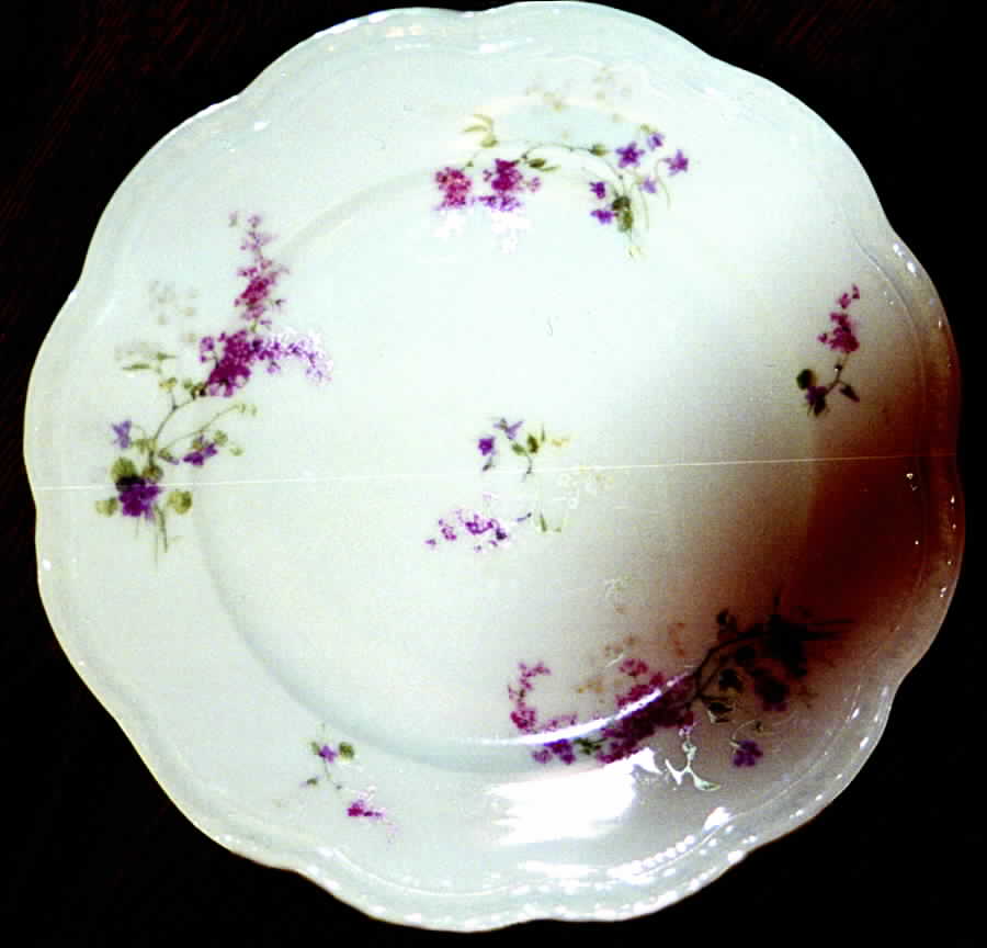 LNT127 Dinner Plate by Lanternier-1