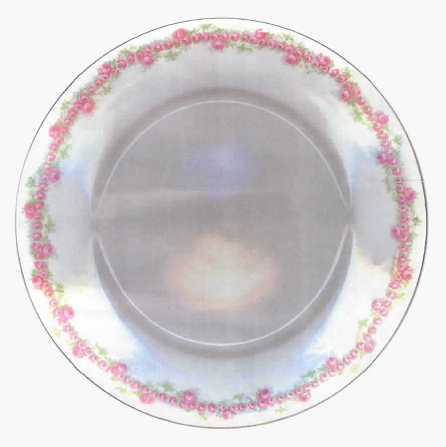 M3W3 Dinner Plate by Maureil Chapeau & Charles-1