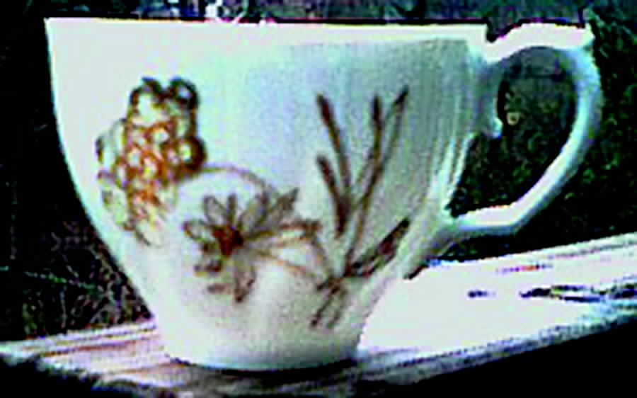 Daisy Bell Flat Cup by Laurel (Japan)-1